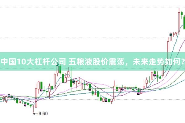 中国10大杠杆公司 五粮液股价震荡，未来走势如何？