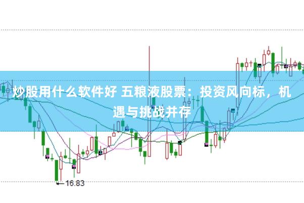 炒股用什么软件好 五粮液股票：投资风向标，机遇与挑战并存