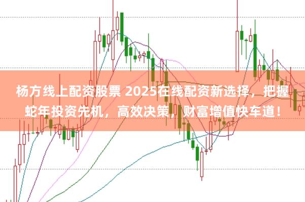杨方线上配资股票 2025在线配资新选择，把握蛇年投资先机，高效决策，财富增值快车道！
