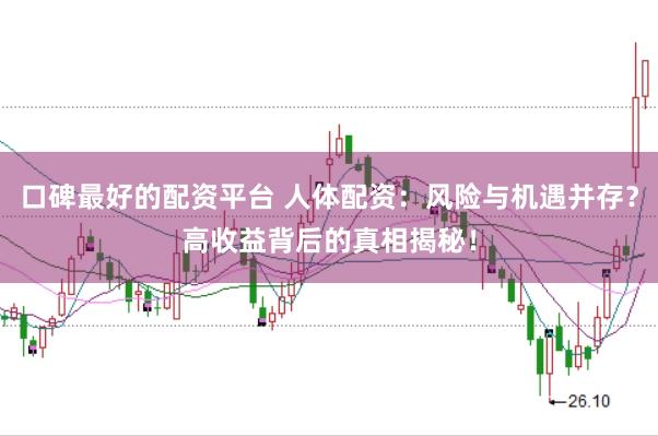 口碑最好的配资平台 人体配资：风险与机遇并存？高收益背后的真相揭秘！