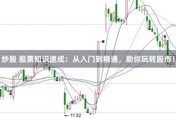 炒股 股票知识速成：从入门到精通，助你玩转股市！
