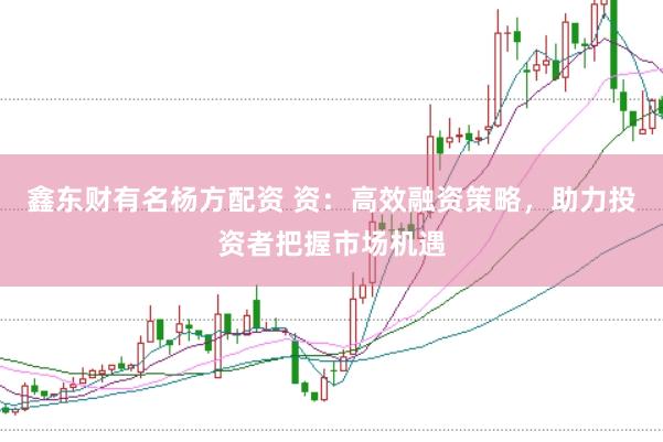 鑫东财有名杨方配资 资：高效融资策略，助力投资者把握市场机遇