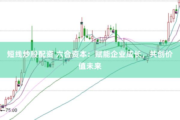 短线炒股配资 六合资本：赋能企业成长，共创价值未来