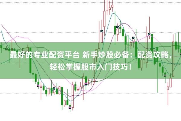 最好的专业配资平台 新手炒股必备：配资攻略，轻松掌握股市入门技巧！