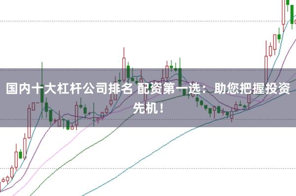 国内十大杠杆公司排名 配资第一选：助您把握投资先机！