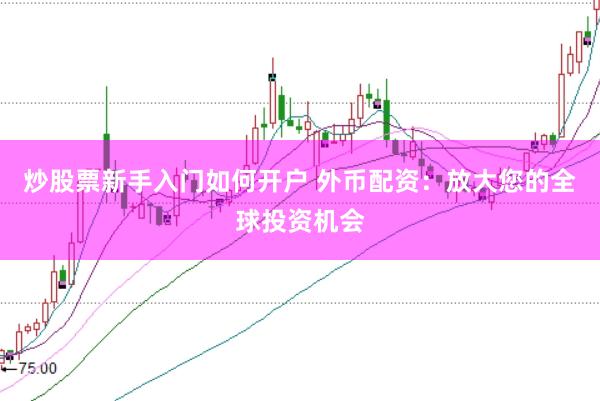 炒股票新手入门如何开户 外币配资：放大您的全球投资机会