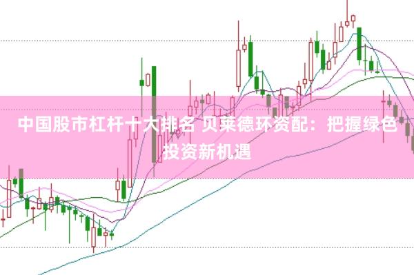中国股市杠杆十大排名 贝莱德环资配：把握绿色投资新机遇