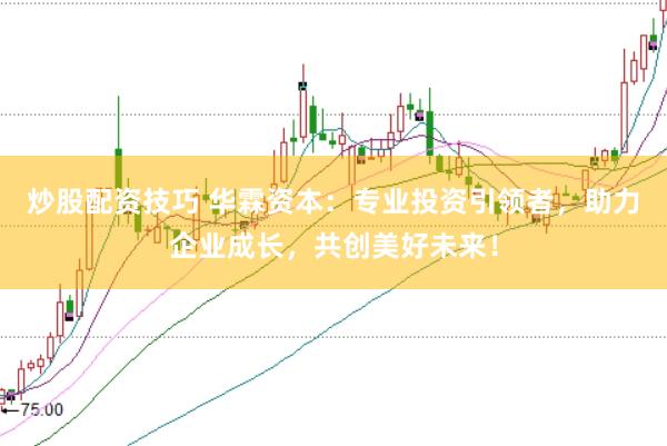 炒股配资技巧 华霖资本：专业投资引领者，助力企业成长，共创美好未来！