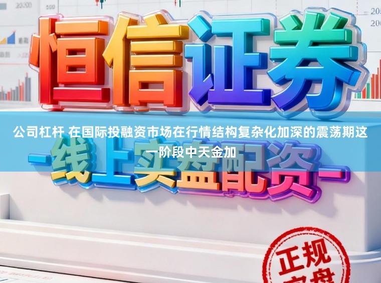 公司杠杆 在国际投融资市场在行情结构复杂化加深的震荡期这一阶段中天金加